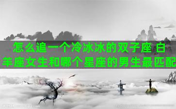 怎么追一个冷冰冰的双子座 白羊座女生和哪个星座的男生最匹配